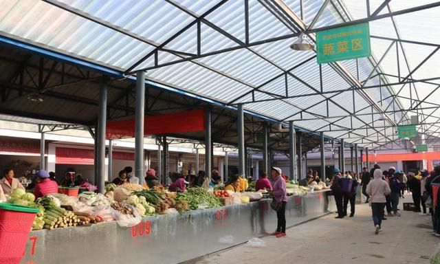 2024年第50周国内农产品批发市场价格周报