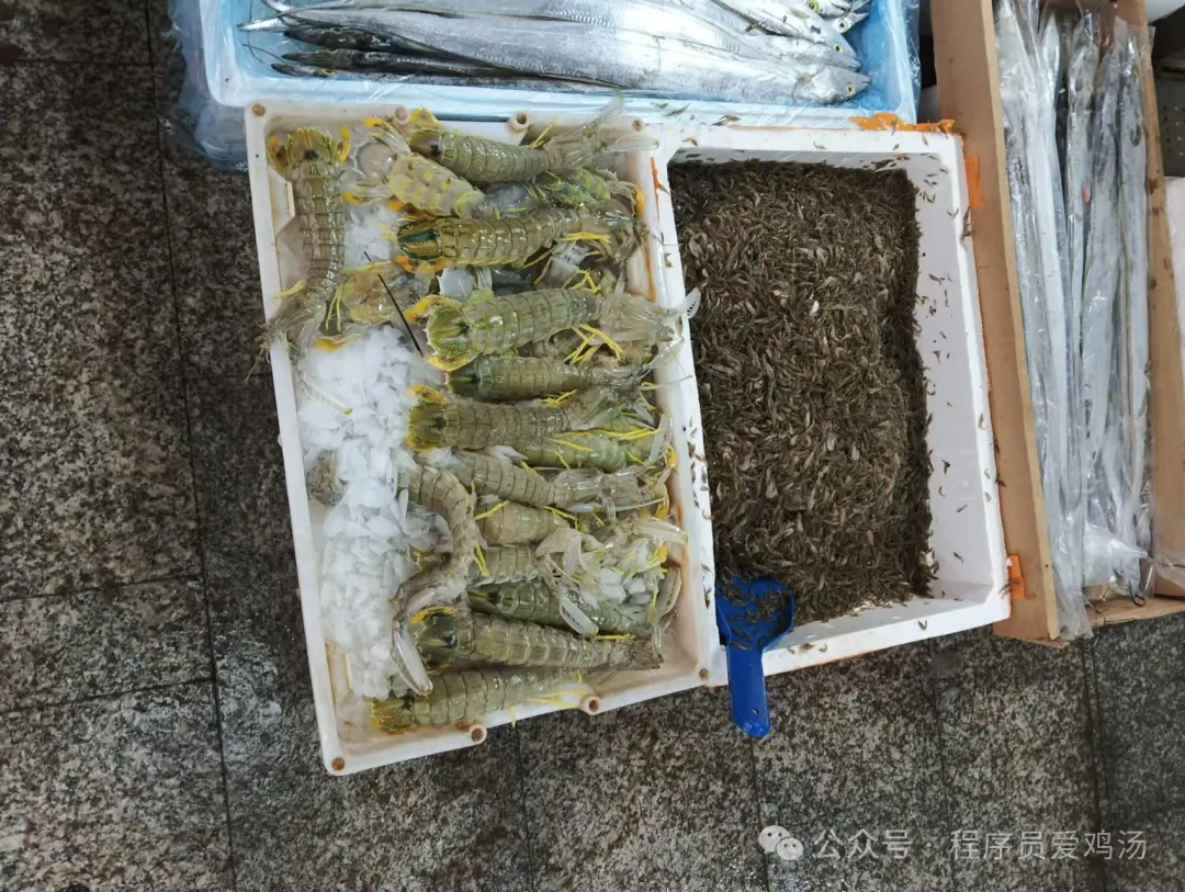 石岩水田农产品批发市场买菜记