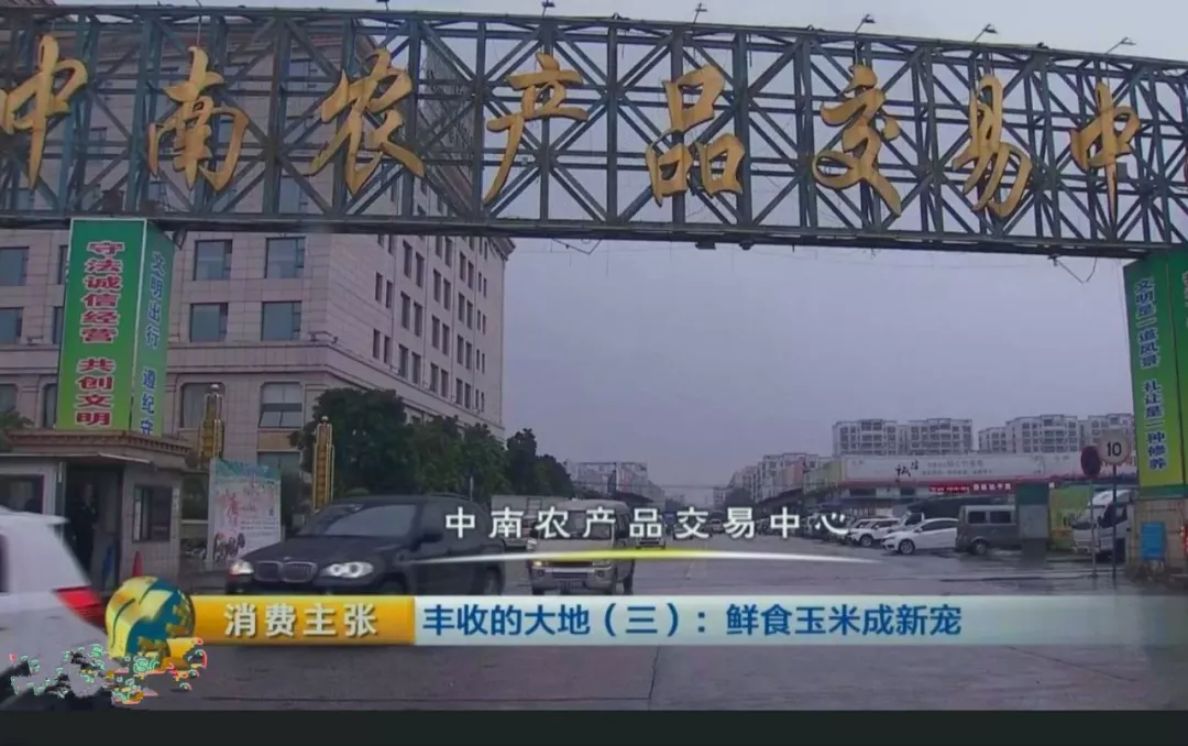 买卖易盘点广东四大农产品批发市场:农批市场各有各的特点,买货卖货要选地方