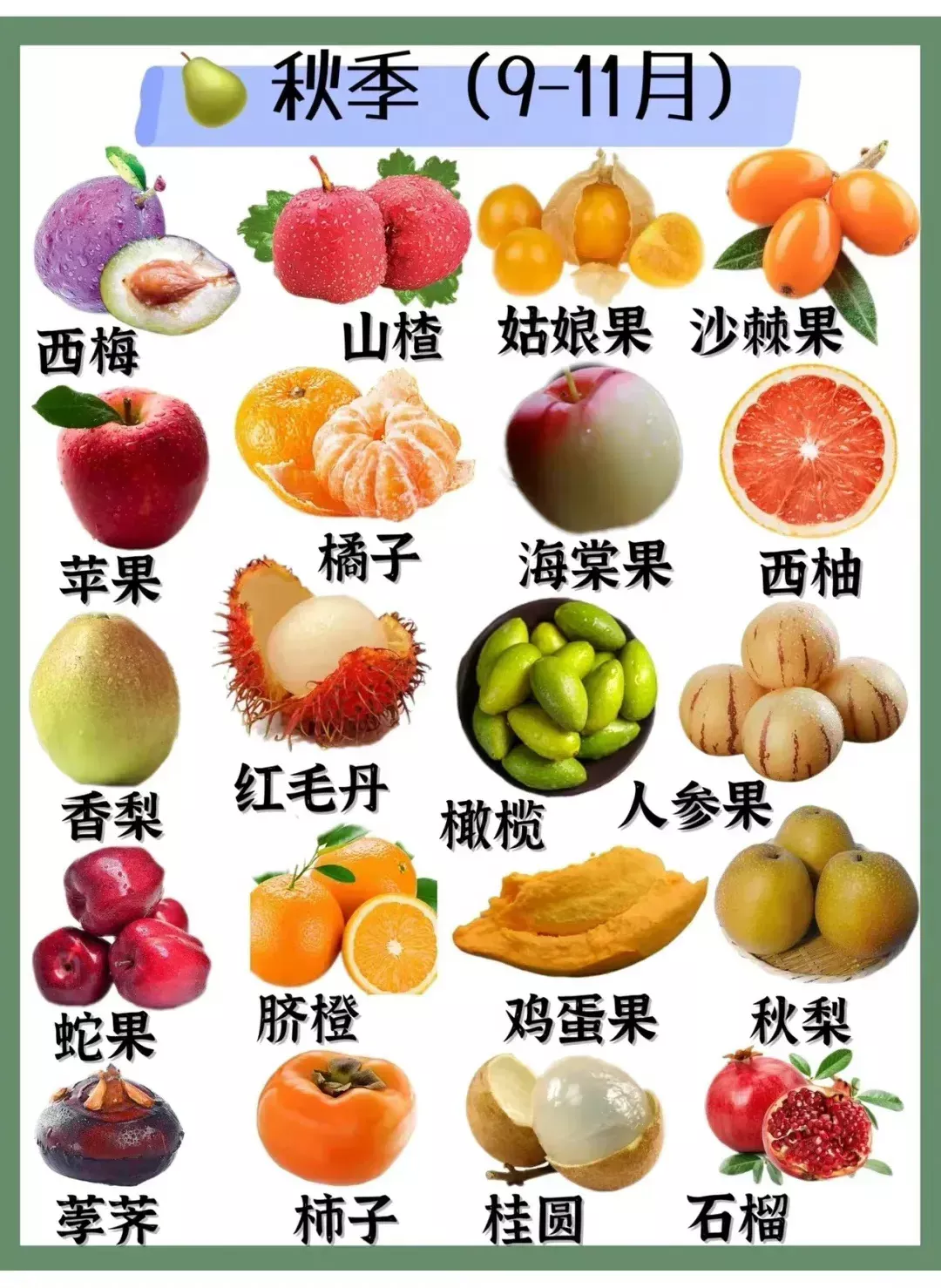 应季水果时间表