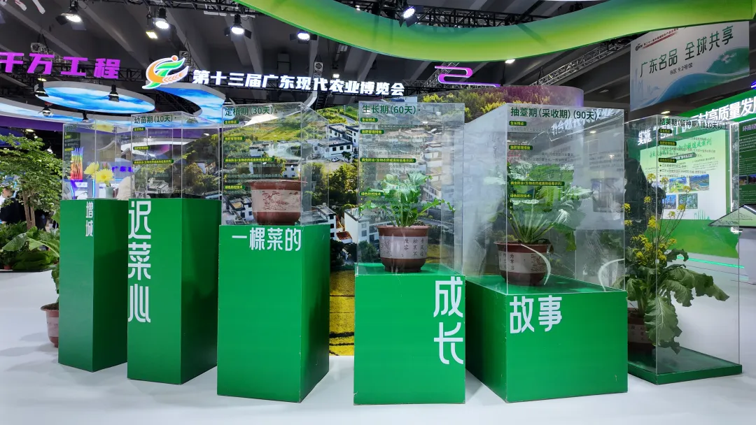 正旭农业亮相第二十一届中国国际农产品交易会