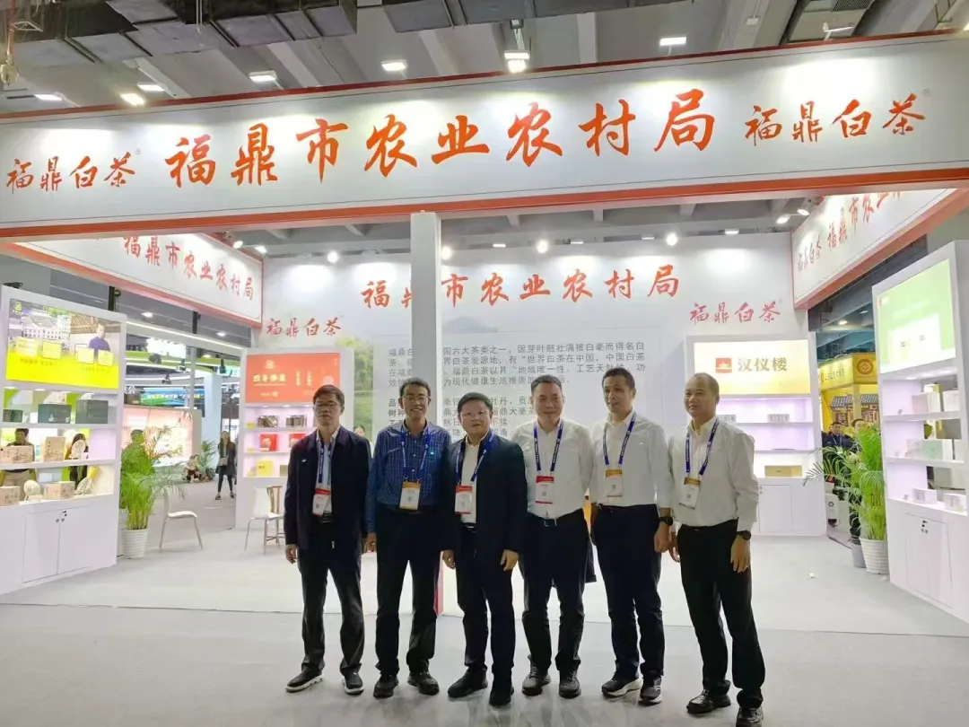 福鼎白茶新品推介会