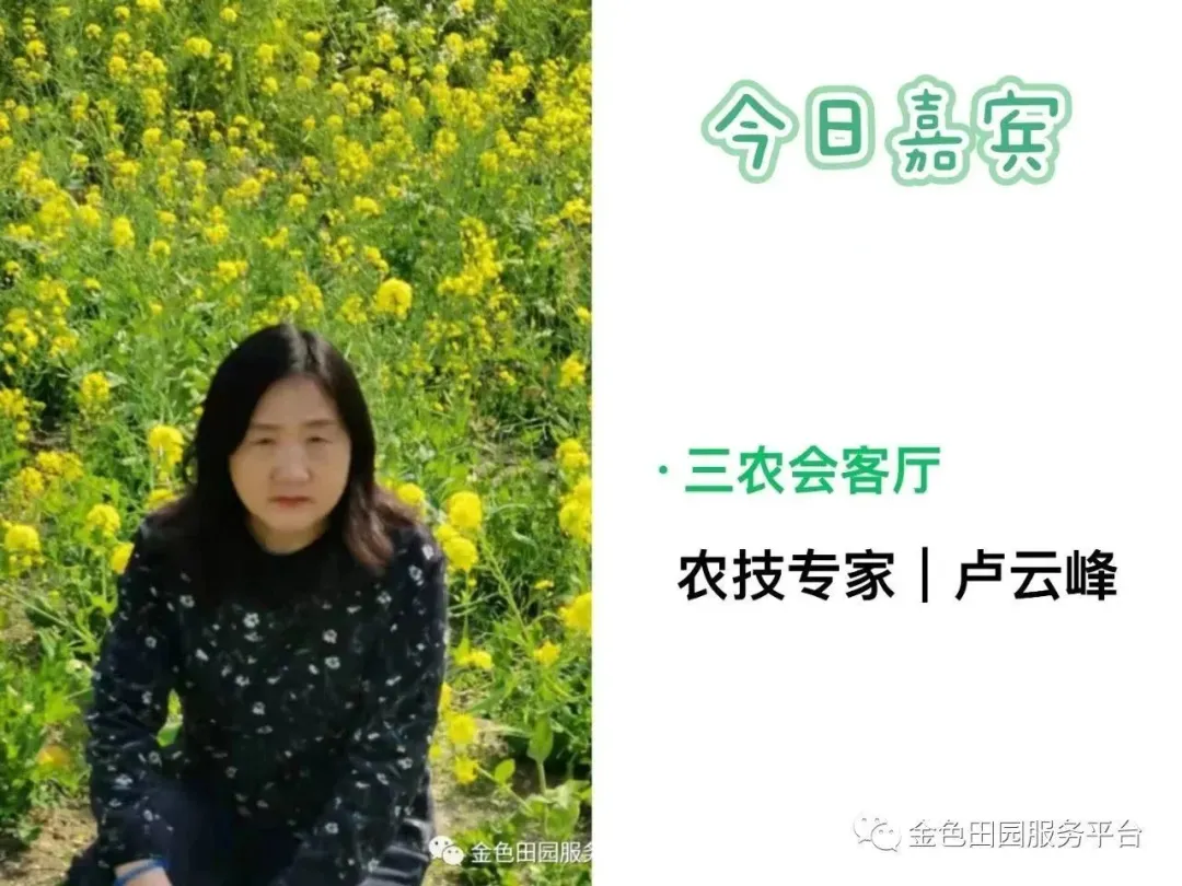 当前在地蔬菜的管理