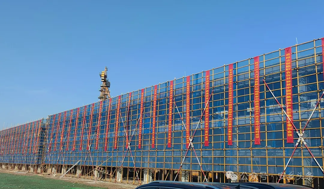 中国洞庭湖农产品交易中心部分楼栋的封顶仪式暨客户见面会举行