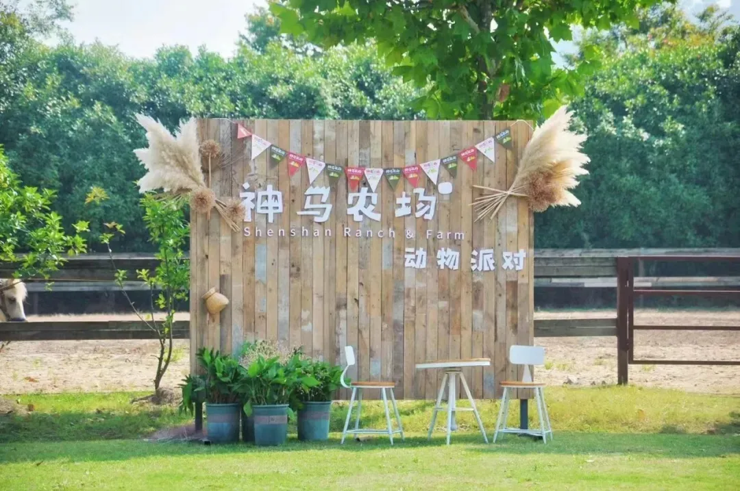 中国家庭农场