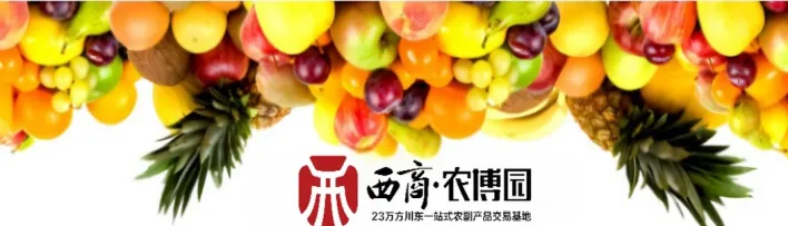 西商农博园农批市场今日菜价一览(2024年12月30日)