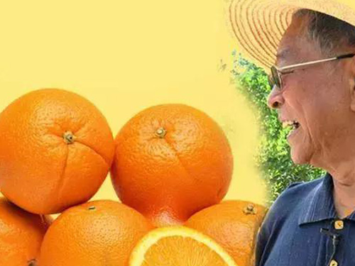 中海油能源发展股份有限公司舟山地区食材采购中标候选人公示