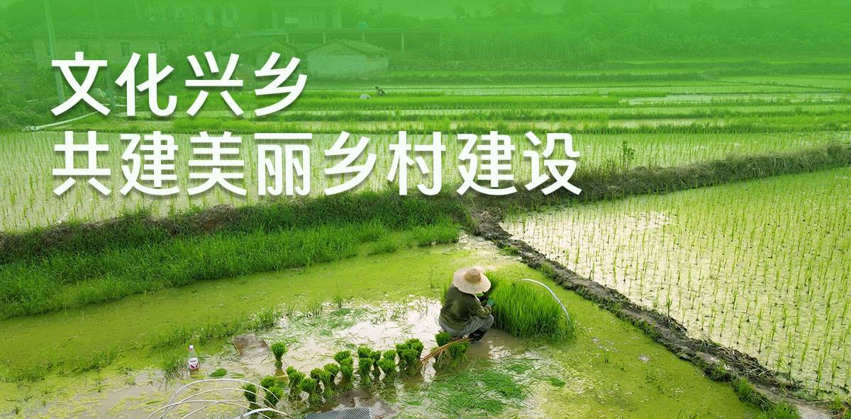 交易平台