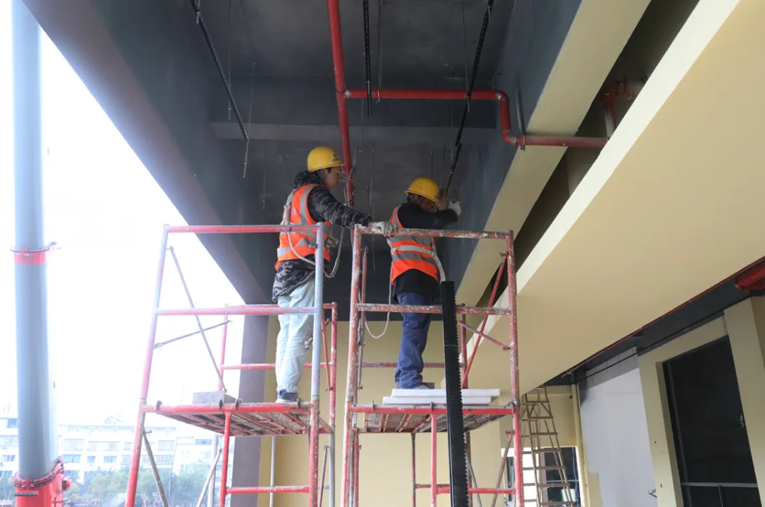 龙马潭石洞农产品批发市场即将建成投用