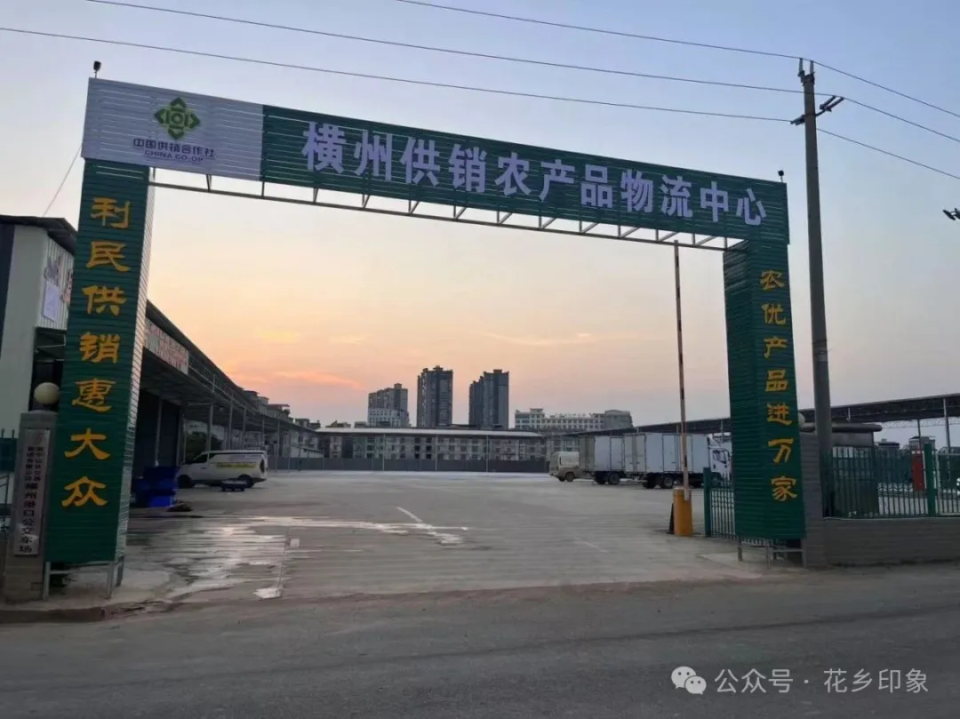 广西横州供销农产品物流中心招商了,蔬菜批发、茉莉鲜花交易,首批入驻商户,摊位租金优惠!