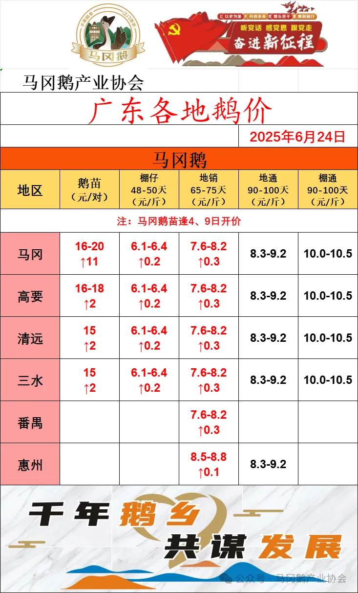 买卖易市场2025年6月24日马冈鹅批发市场今日鹅价