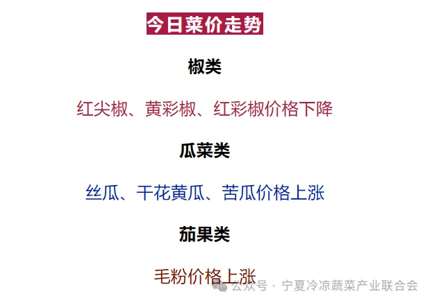 买卖易市场2025年6月24日宁夏、云南、山东寿光蔬菜价格