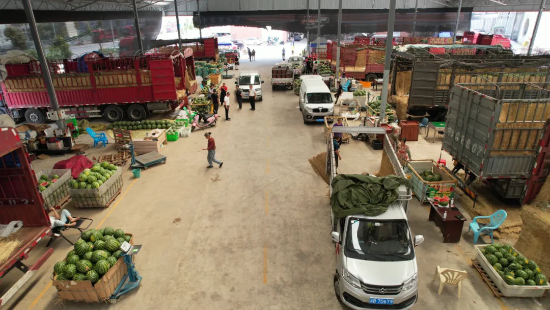 百安港农产品批发市场西瓜现货批发快讯