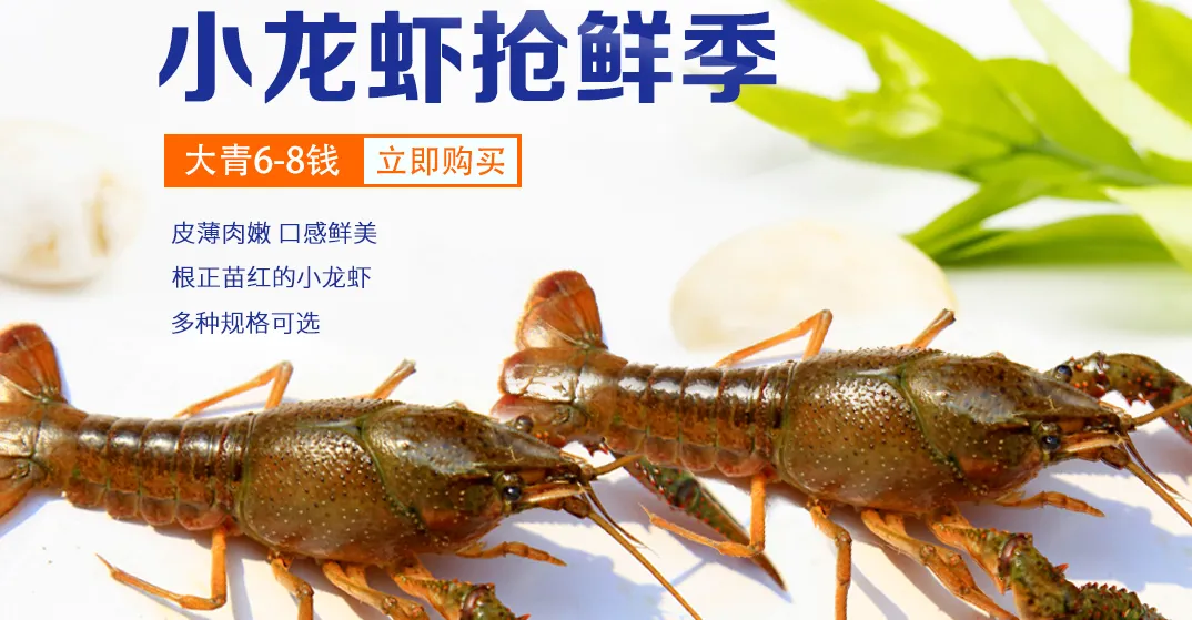 买卖易市场2025年07月06日小龙虾最新报价