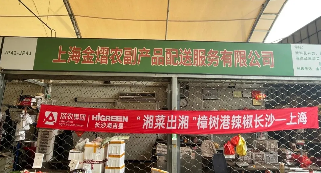长沙海吉星&上海农产品中心批发市场 樟树港辣椒“出湘记”,共启舌尖上的黄金赛道!