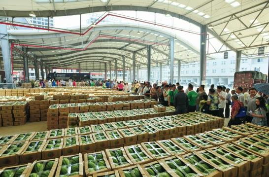 买卖易平台(2025年9月24日)农产品批发市场核心报价及行情分析