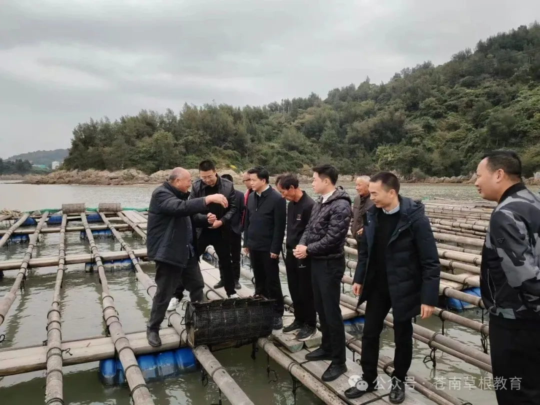 三代人的守海梦:霞关港海参里的岁月情深