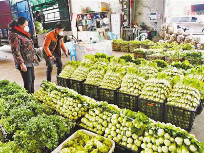 【今日菜价】南大堡蔬菜批发市场(邯郸经开区)2024年12月10日蔬菜价格行情