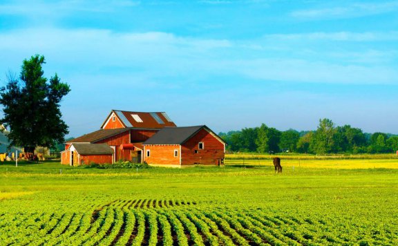 未来的农业农村方向何在?三农产品价格走低,前路茫茫?
