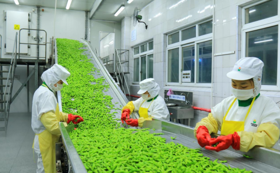 农产品初加工的具体范围和免税政策