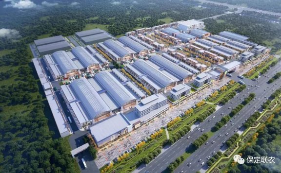 魏县新发地农产品批发市场日交易量突破3500吨