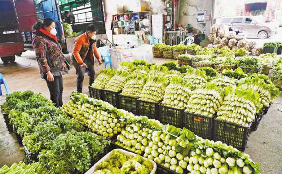 【今日菜价】南大堡蔬菜批发市场(邯郸经开区)2024年12月10日蔬菜价格行情