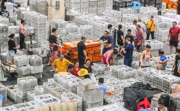 2024年12月第一周全国农产品买卖【采购供应】种植户、代办站贸易信息