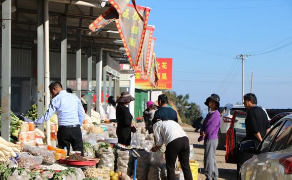 2024年12月第二周全国农产品买卖【供应求购】种植户、代办站交易信息