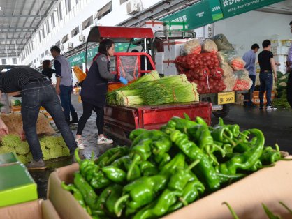 买卖易农贸市场全国农产品买卖【供应信息】种植户、代办站2025年1月第四周交易快报