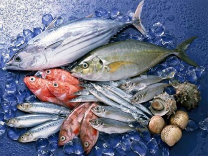 哈尔滨金融学院饮食服务中心大宗食材及物资招标采购项目公开招标公告