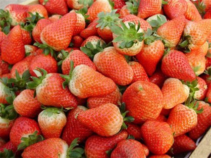 榆次区北田中学食堂食材采购公告