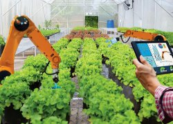 榆次区北田中学食堂食材采购公告