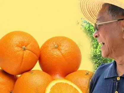 青铜峡市第七中学2025年度食堂食材采购项目公开招标公告