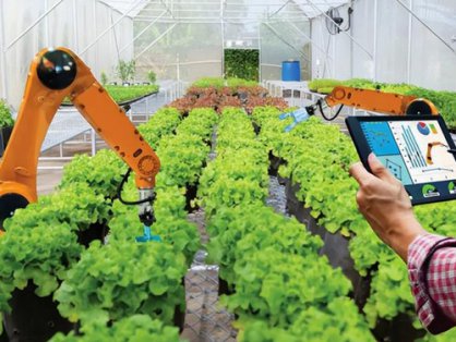 东莞市南城阳光第三小学教职工食堂食材配送服务招标代理机构抽签选取报名