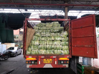 蔬菜批发市场不做品牌只能被淘汰?