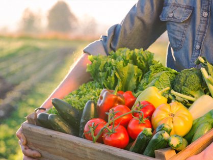 平武县民政局平武县养老机构食堂食材采购项目竞争性磋商公告