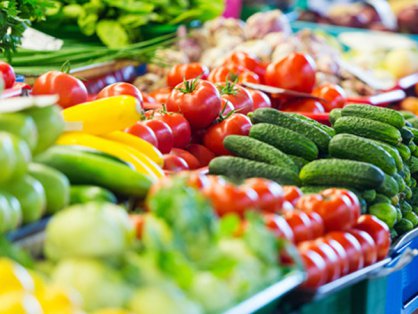 东莞市消防救援支队横沥大队2025年食材配送项目遴选公告