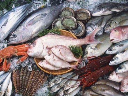 买卖易农产品交易平台2025年1月广东省水产品批发市场价格分析简报