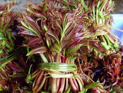 江西小炒一批好食材抢鲜上市