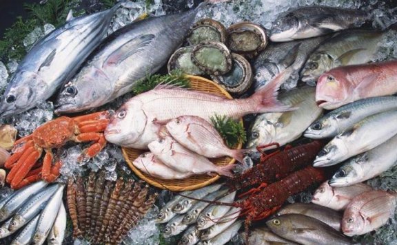 买卖易农产品交易平台2025年1月广东省水产品批发市场价格分析简报