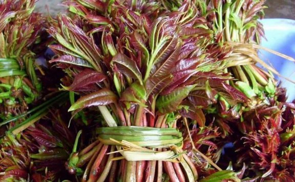 江西小炒一批好食材抢鲜上市