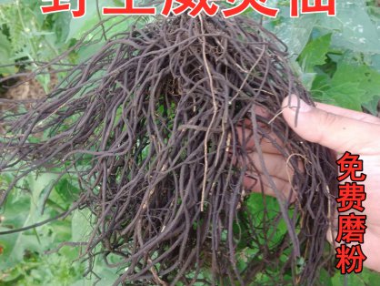 买卖易药材市场2025.06.18交易信息