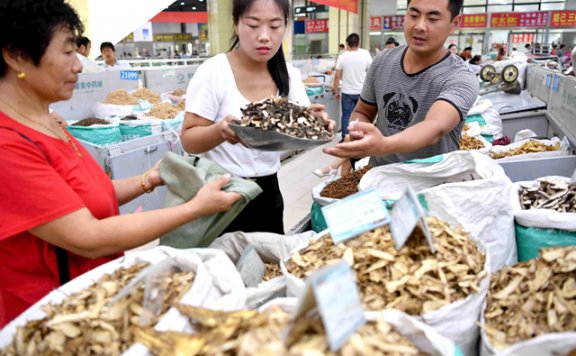 买卖易全国中药材市场实时供求信息(2025.6.19）交易快报