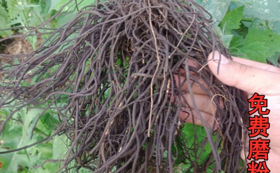 买卖易药材市场2025.06.18交易信息