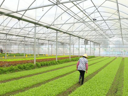 买卖易市场2025年7月6日土地流转信息发布