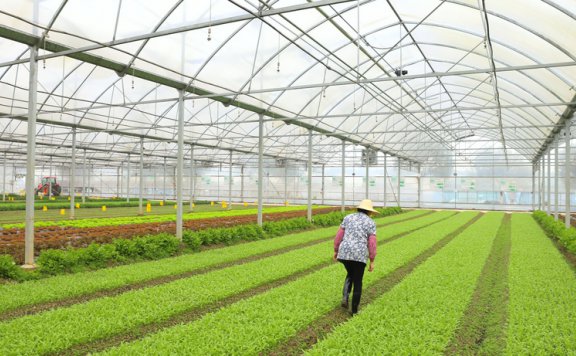 买卖易市场2025年7月6日土地流转信息发布