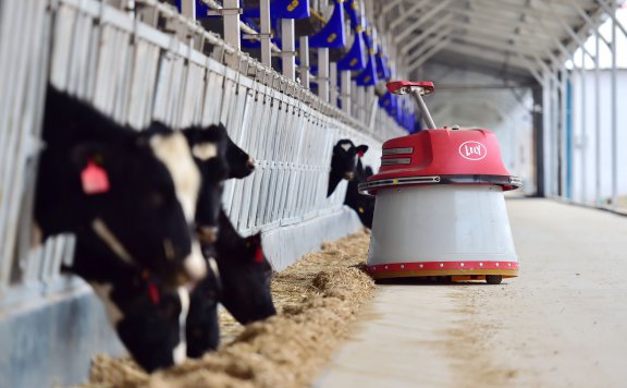 买卖易市场【2025-7-2】农牧、场地库房买卖交易信息